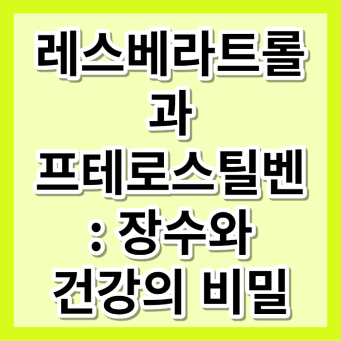 대표-사진