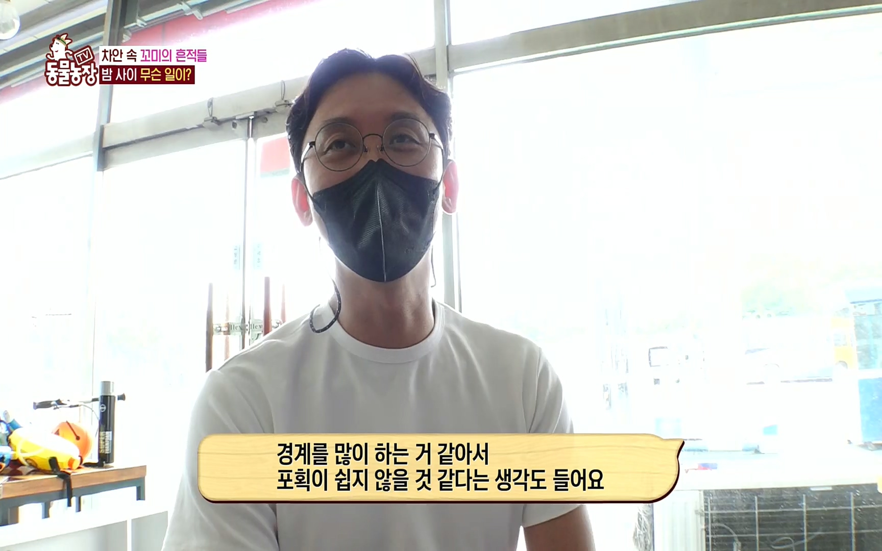 TV 동물농장.E1086.220911p.H264-F1RST.mp4_20220911_175406.576.jpg