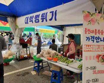 홍천 찰옥수수 축제 먹거리_2