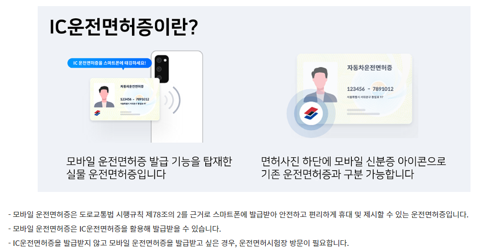 운전면허 적성검사