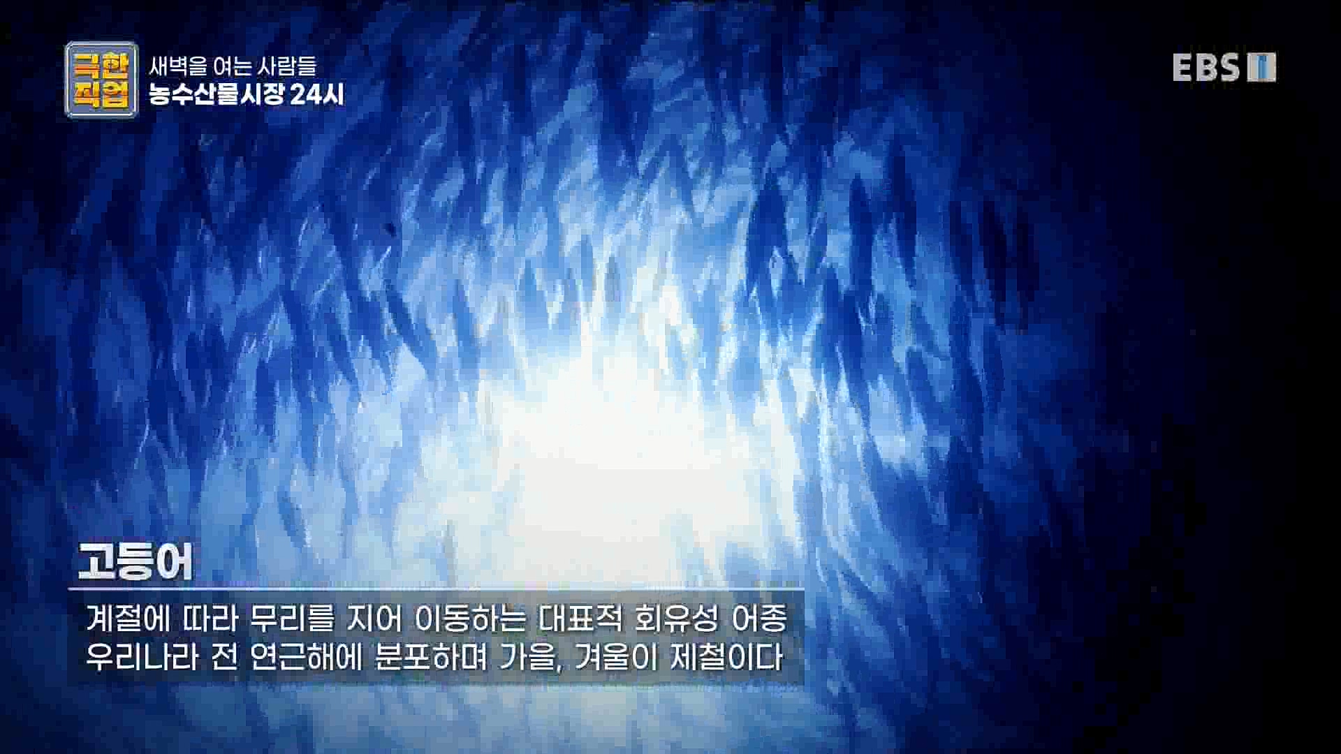 농수산물 시장 24시.mp4_20221020_160100.595.jpg