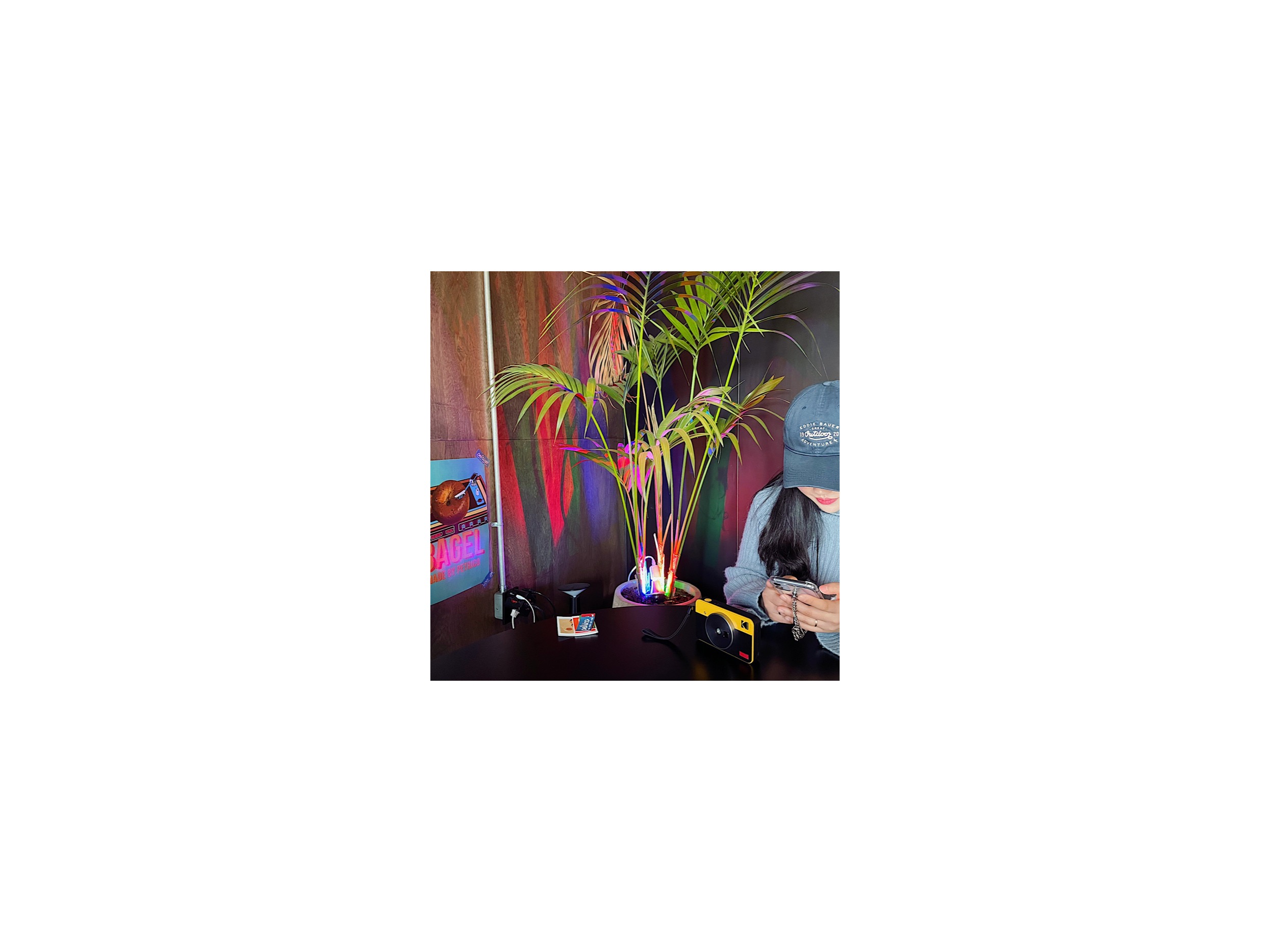  [경북 구미/원평동] 페트리코 (PETRICO)｜금리단길 "포토존 천국" 힙플레이스 & 색다른 카페 메뉴