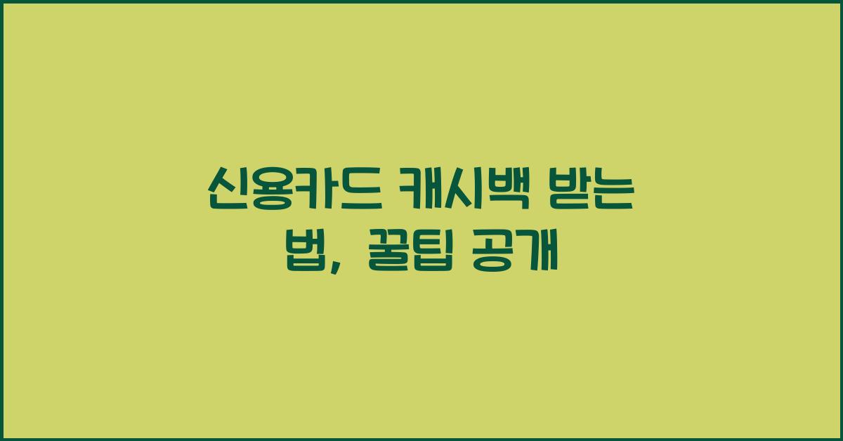신용카드 캐시백 받는 법