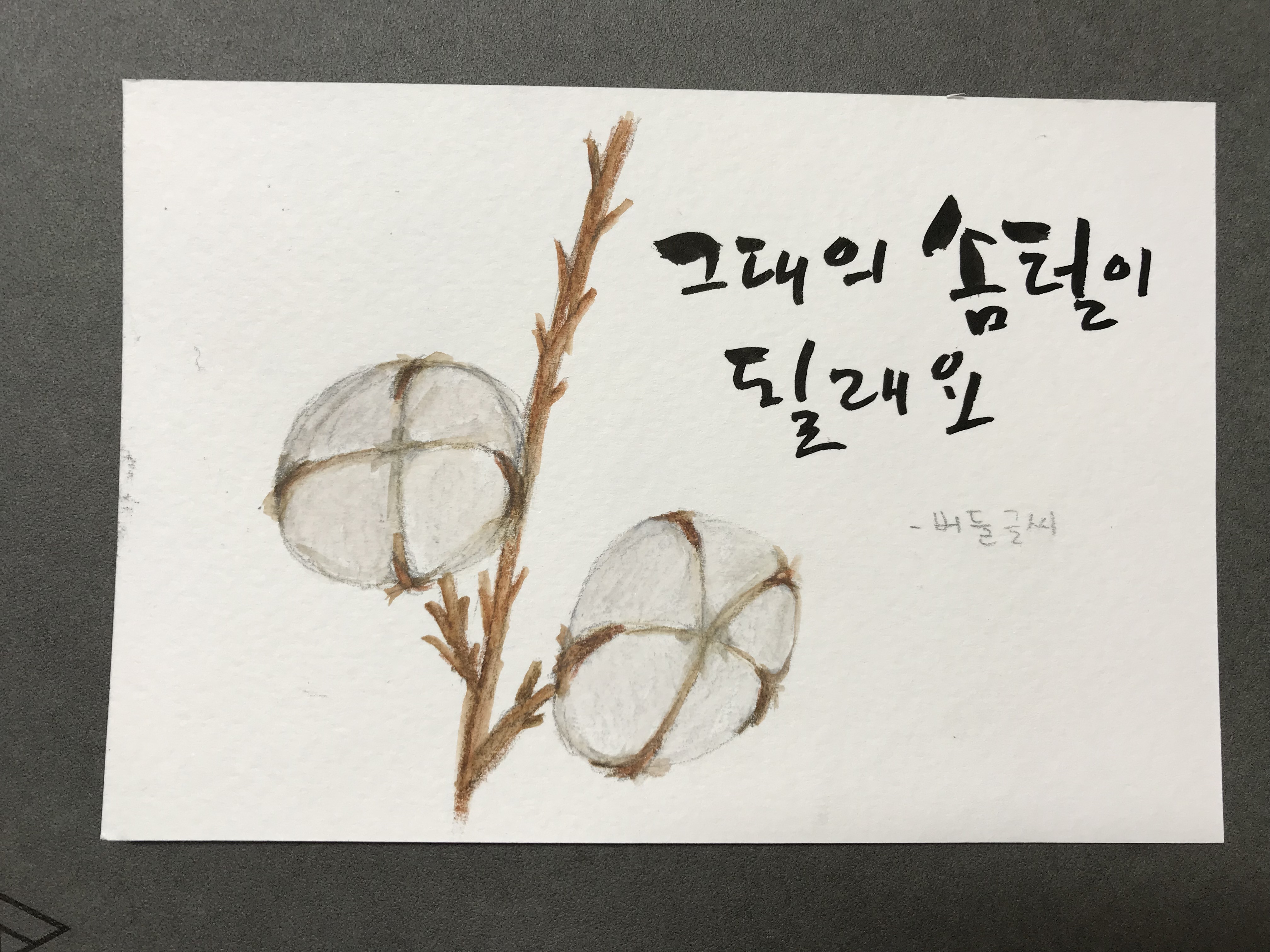 목화그림&#44; 캘리그라피