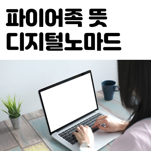 파이어족 뜻 디지털 노마드 개념 