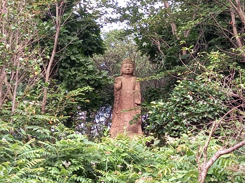 img.jpg