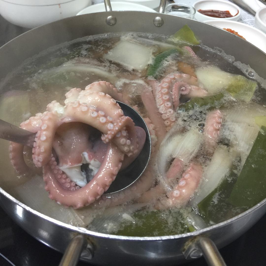 신선한 낙지