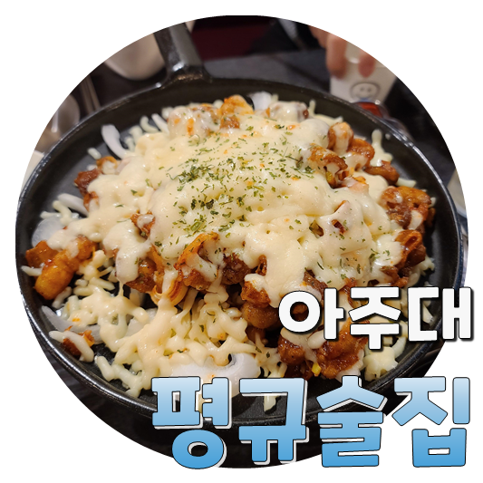  닭껍질튀김 먹으러 가는, 아주대 평규술집