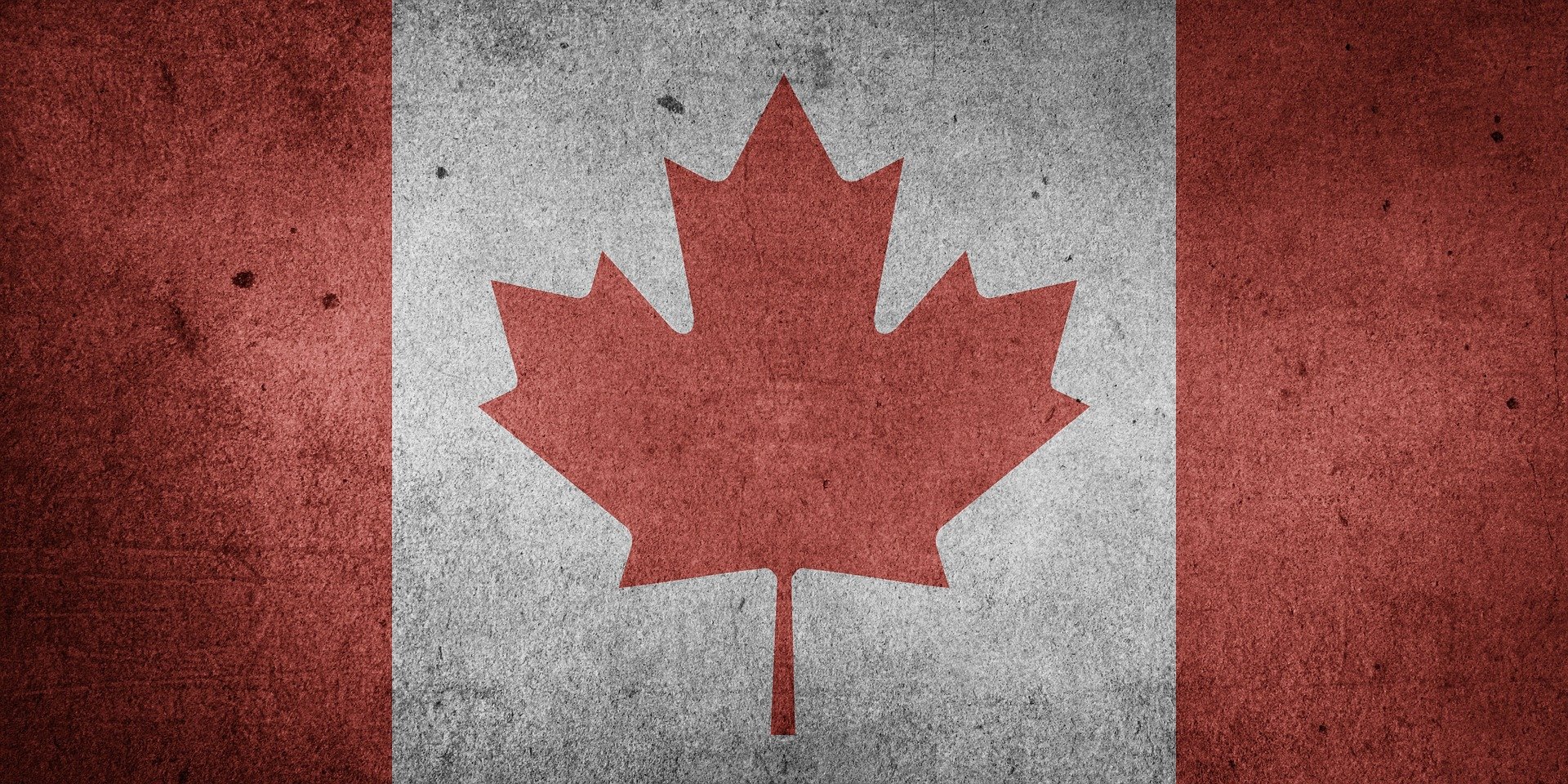  캐나다 근무 경험 (Canadian Experience)? 있을 턱이 있나. #8