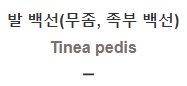  발 백선(무좀, 족부 백선) [Tinea pedis]