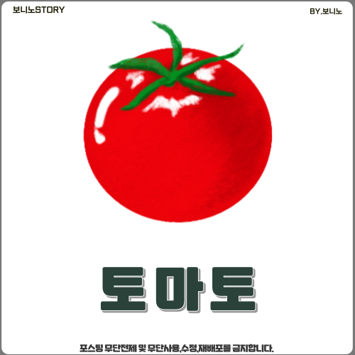 토마토-그림
