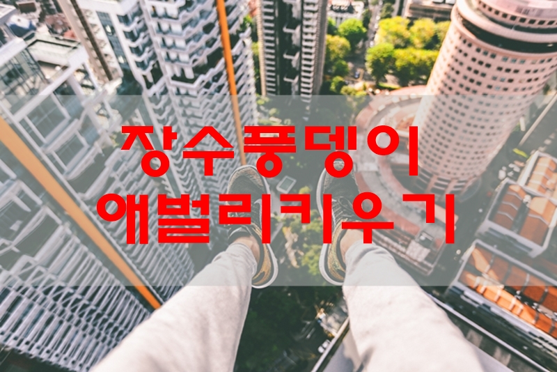  장수풍뎅이 애벌레 키우기