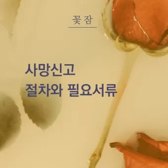 사망 신고 필요 서류 기한 절차_17