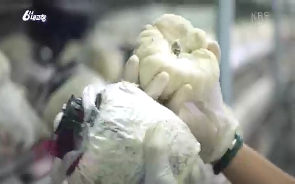 [7612회] 6시 내고향 - KBS7612회] 6시 내고향.ts_20220912_174113.324.jpg