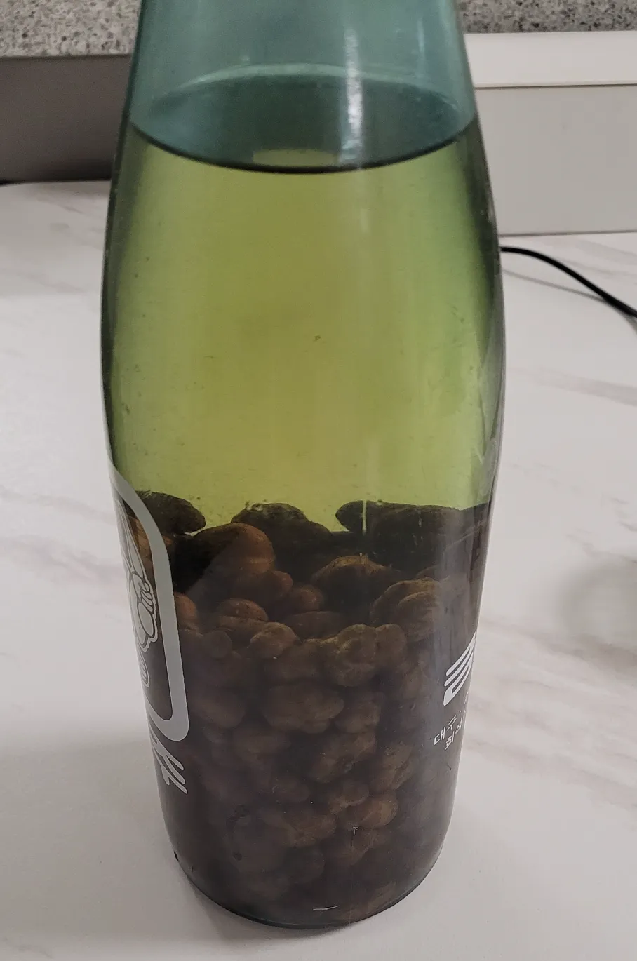  개다래로 통풍 통증 완화하기