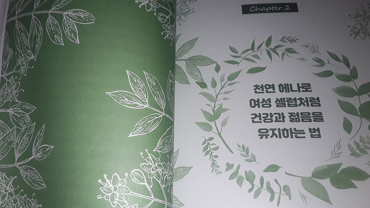 천연헤나 이미지