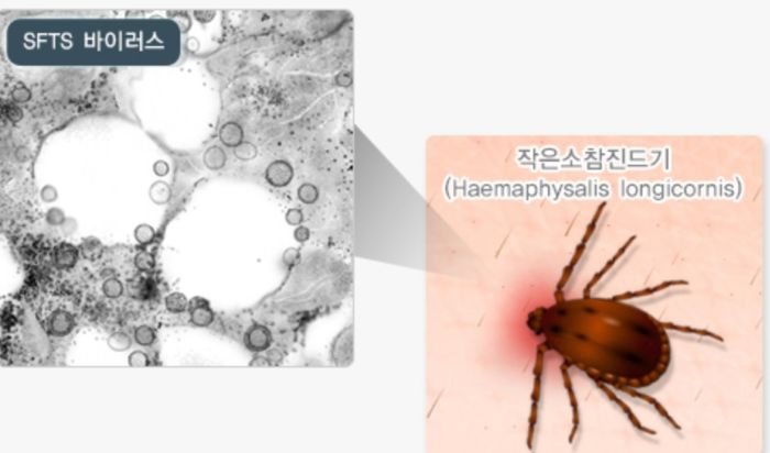진드기·모기 주의보