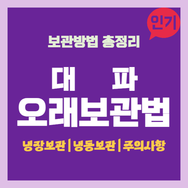 대파 보관법 썸네일