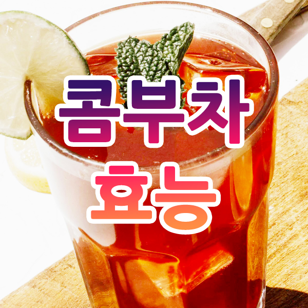  콤부차 효능 알고 마시자