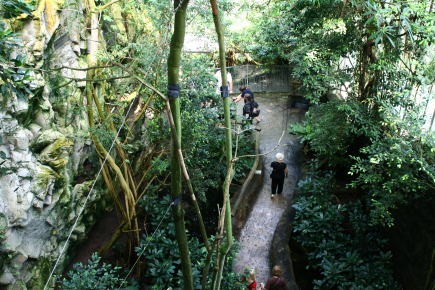쇤부른-동물원-열대우림존