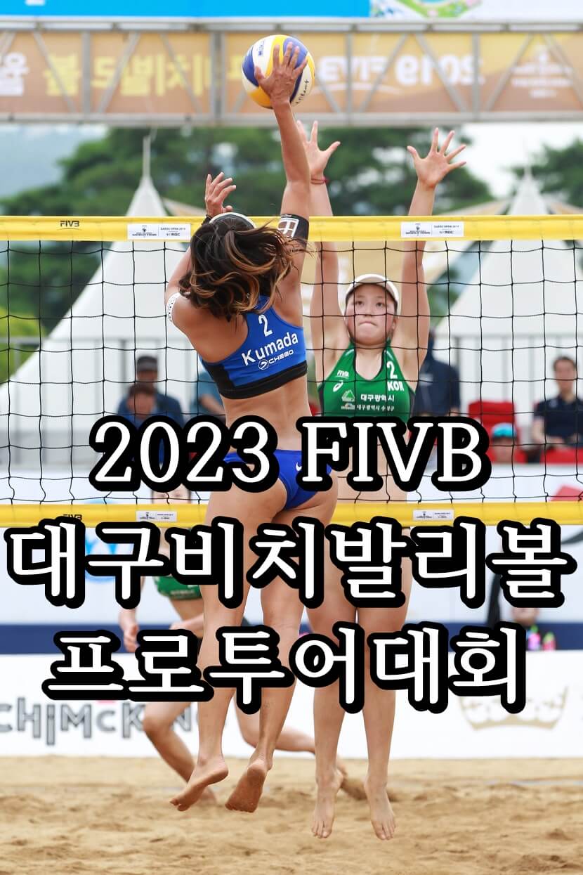  2023 FIVB 대구비치발리볼 프로투어대회 (서울 대회로 대체)