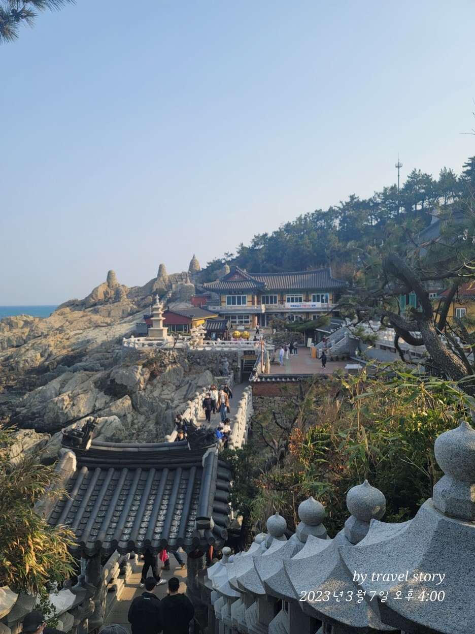  부산근교가볼만한곳-해동용궁사, 원동매화마을