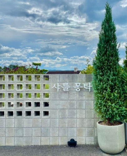 대전 가볼만한 곳