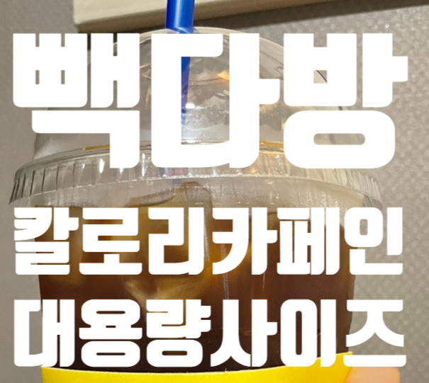  <백종원 빽다방 추천 라떼 칼로리 카페인 가격 비교! 인기메뉴 대용량>