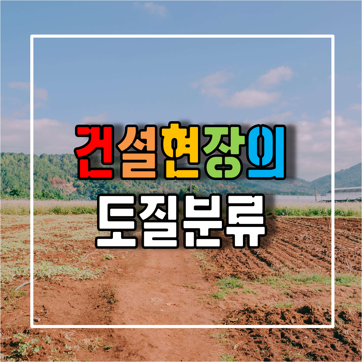 천연 토사사사 판매점, 토사사사 효능, 다시 가격 천연 토사사사 판매점, 토사사사 효능, 다시 가격