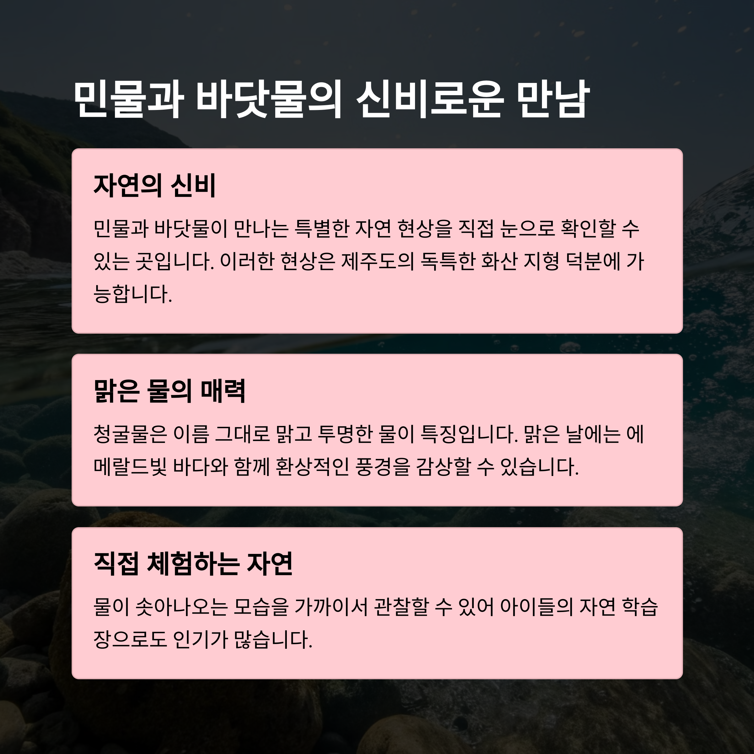김녕 청굴물 숨은 물때 시간