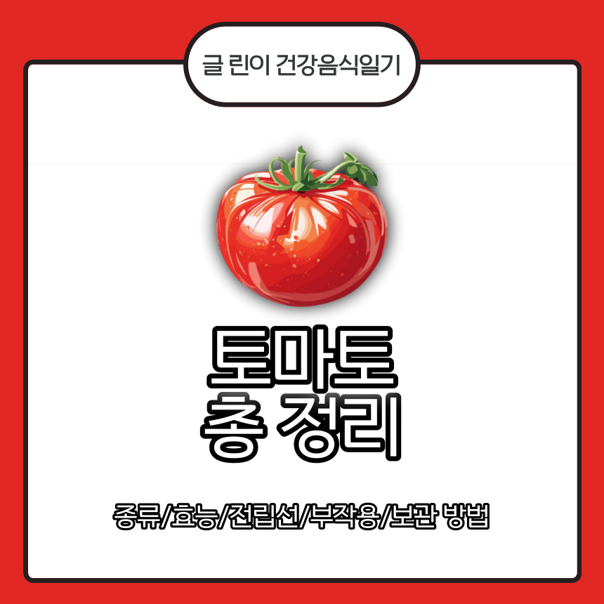  토마토 총 정리 : 종류/효능/전립선/부작용/보관 방법