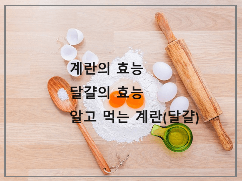 계란의 효능. 달걀의 효능