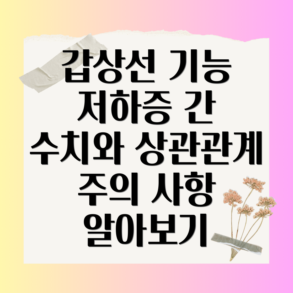 갑상선 기능 저하증과 간 수치