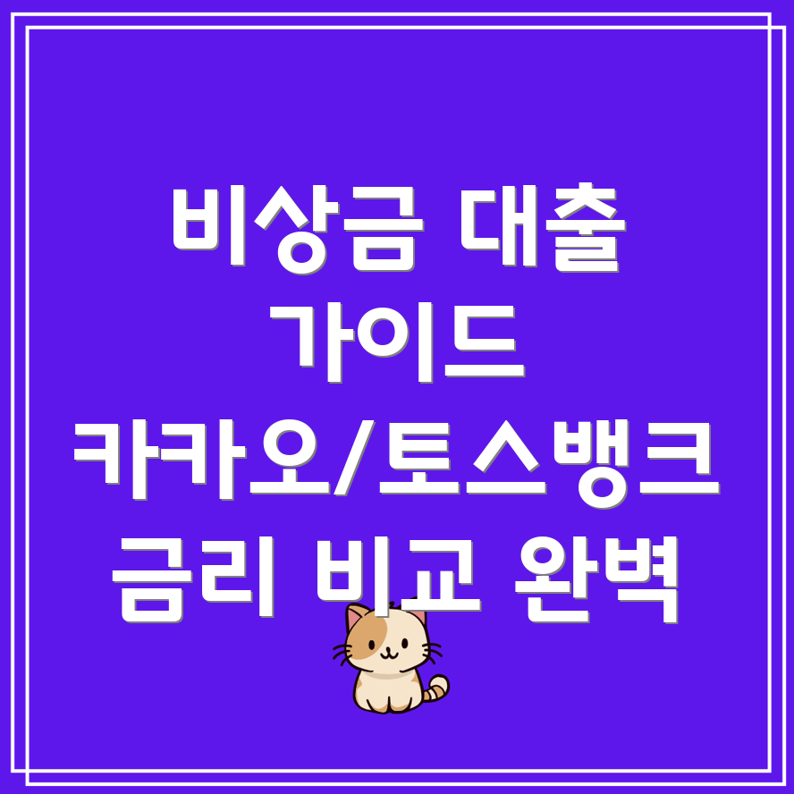 비상금대출