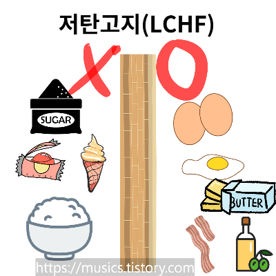  생활과 과학-저탄고지(LCHF)다이어트의 기본 원리, 인슐린의 작용, 혈당과 다이어트