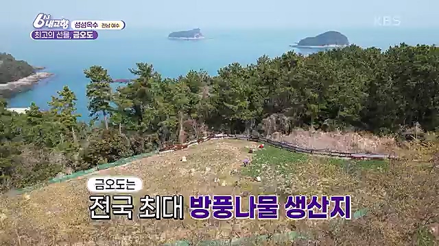 [7743회] 6시 내고향 - KBS산으로 간 굴비 - 충북 옥천 [60초를 잡아라] 부산부전시장 (부산광역시) [셰프의 선물] 내 사랑 내 곁에 (충남 아산) [섬섬옥수] 최고의 선물, 금오도 (전남 여수).ts_20230313_192442.510.jpg