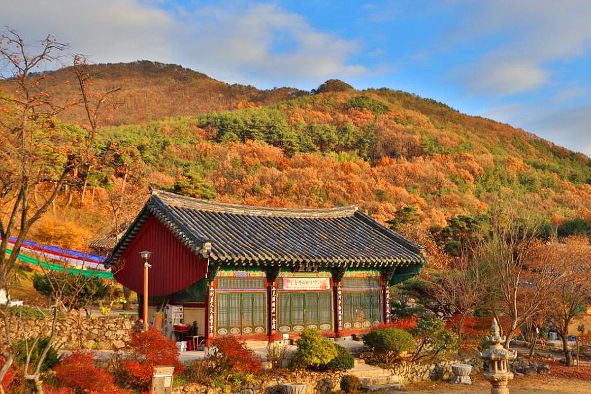 공주 신원사