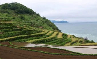 남해 가볼만한곳 베스트10 현지인 추천 필수코스_19