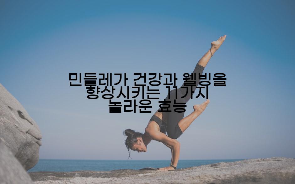 민들레가 건강과 웰빙을 향상시키는 11가지 놀라운 효능