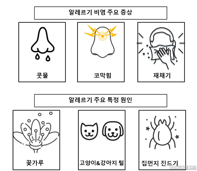 알레르기 비염 주요 증상과 원인물질