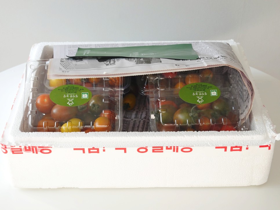 토마토들 산지직송 컬러 13