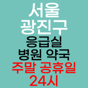서울 광진구 주말 공휴일 약국 병원 응급실 찾기 토요일 일요일 야간진료 24시 영업시간