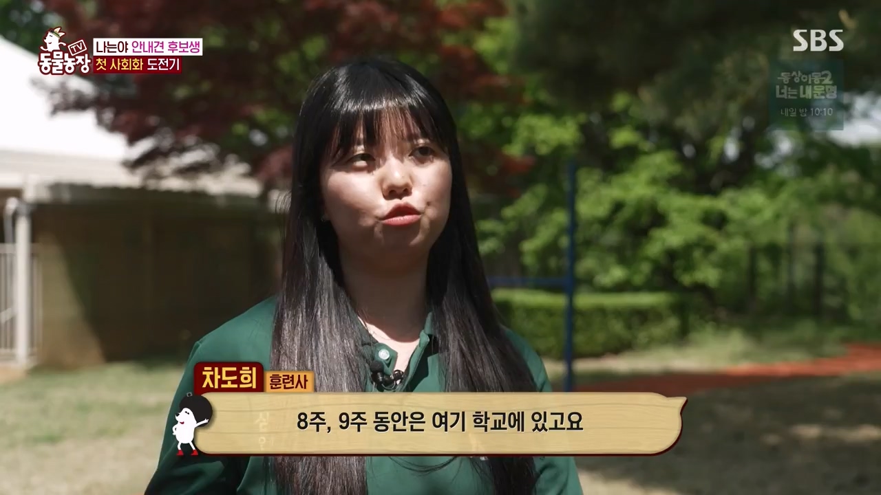 TV 동물농장.E1122.230529p-NEXT.mp4_20230528_170254.491.jpg