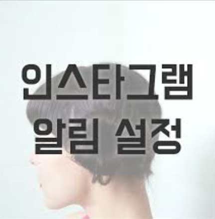 인스타 리포스트 알림
