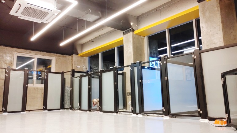 황금동 '도그 데이트' 가게 위쪽 굿! 대구 애견호텔 미용 12