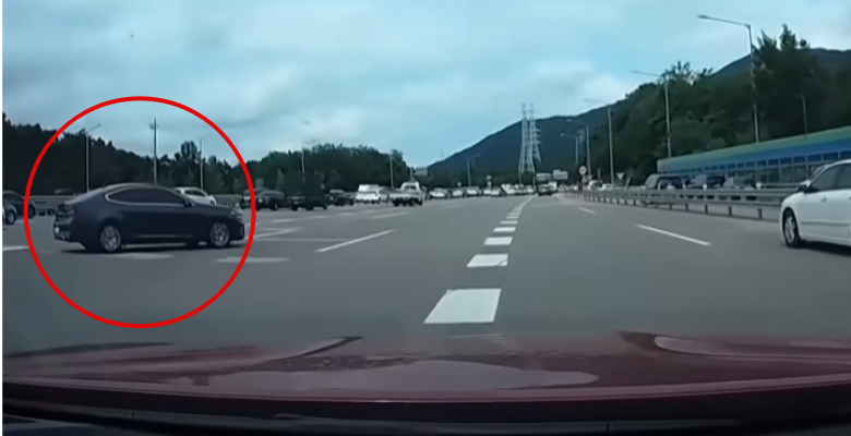  고속도로 가로질러 온 차량, 과실 없다는 보험사 (영상ㅇ)