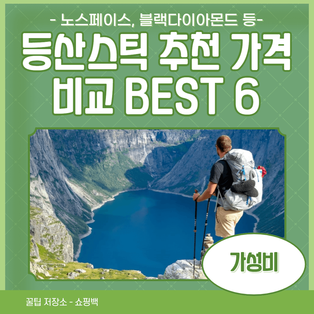 등산스틱 추천 가격 비교 BEST 6