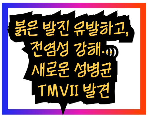 붉은 발진 유발하고, 전염성 강해… 새로운 성병균 TMVII 발견