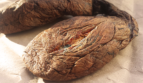 캐스토리움 (CASTOREUM), 해리향 효능 부작용, 사용법 알고 가세요.