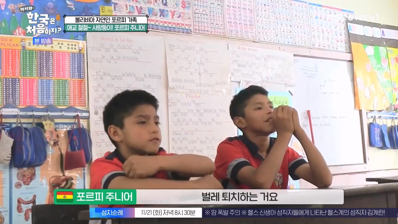 어서와 한국은 처음이지 시즌2.E289.231117p-NEXT.mp4_20231117_201627.899.jpg